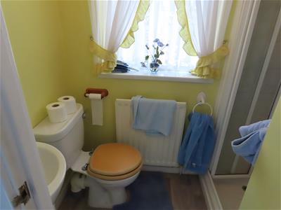 Picture 11
